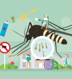 קדחת דנגי - תמונת אווירה